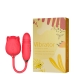VIBRADOR DUPLO POTENTE VAI E VEM E SUGADOR ONDAS PRESSÃO RECARREGÁVEL ROSA RS-037