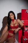CONJUNTO SENSUAL EM RENDA COM LIGA E ACESSÓRIO NO PESCOÇO REF.: 622